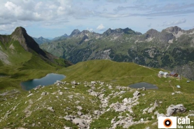 natur_tiere11