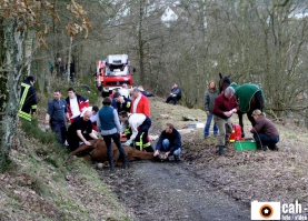 presse24